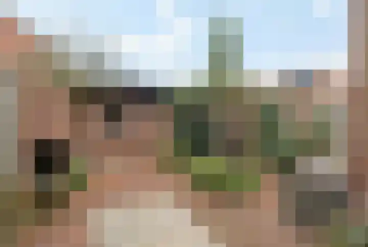 Wolvepad 42 Berghem thumbnail 37