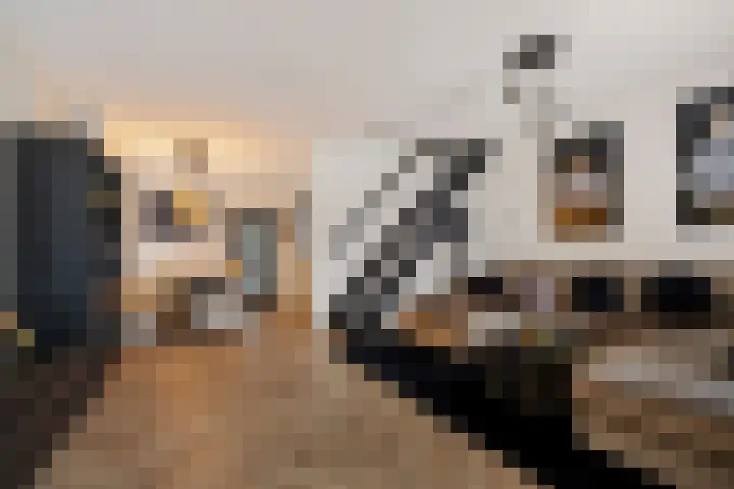 Wolvepad 47 Berghem thumbnail 10