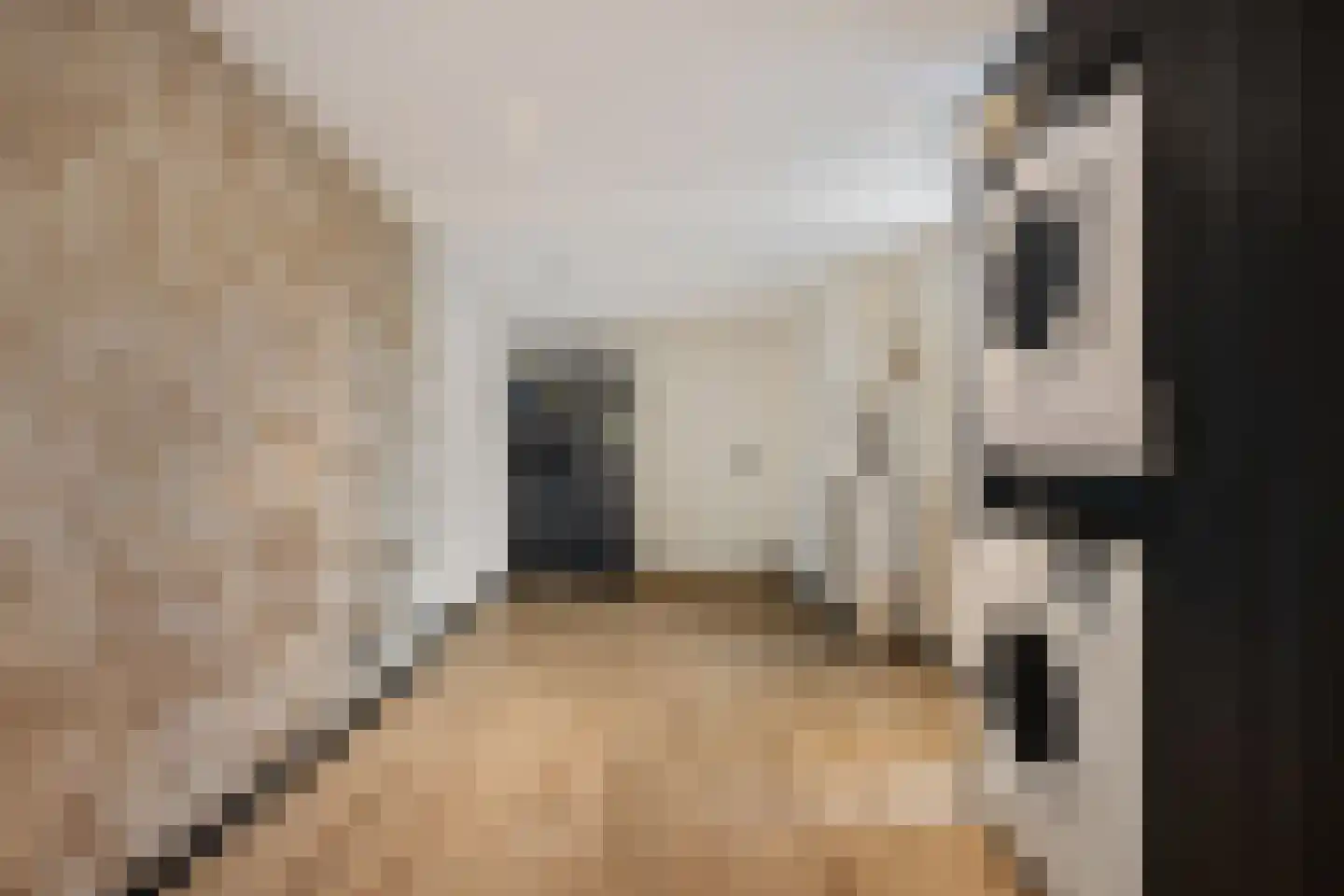 Wolvepad 47 Berghem thumbnail 23