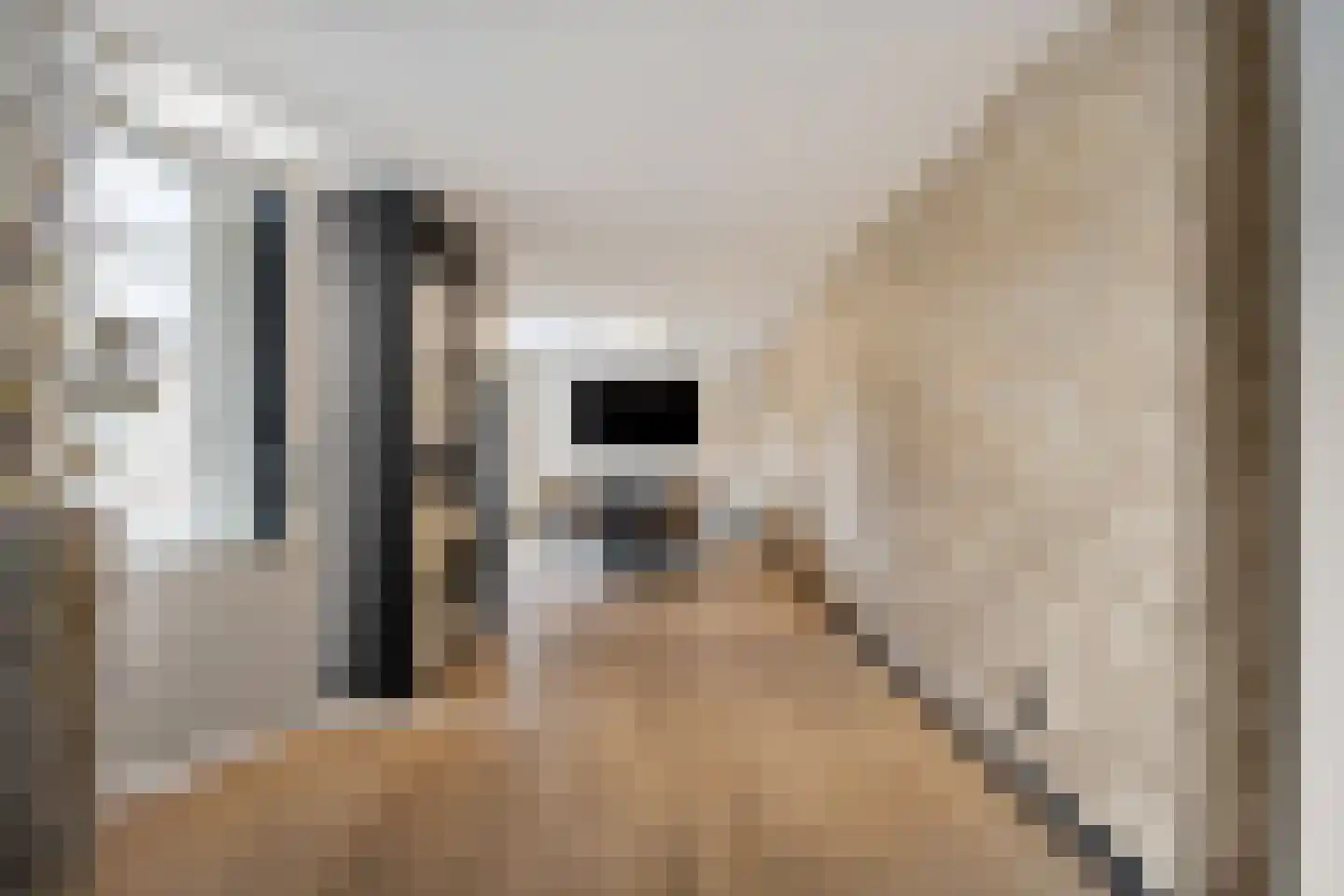 Wolvepad 47 Berghem thumbnail 4