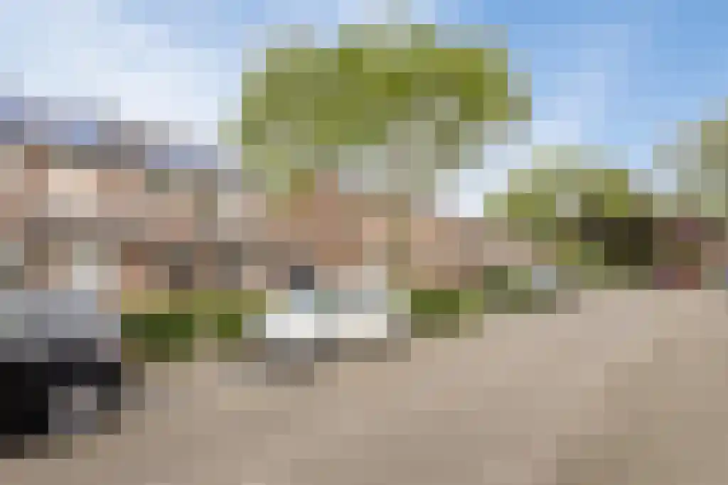 Wolvepad 47 Berghem thumbnail 47