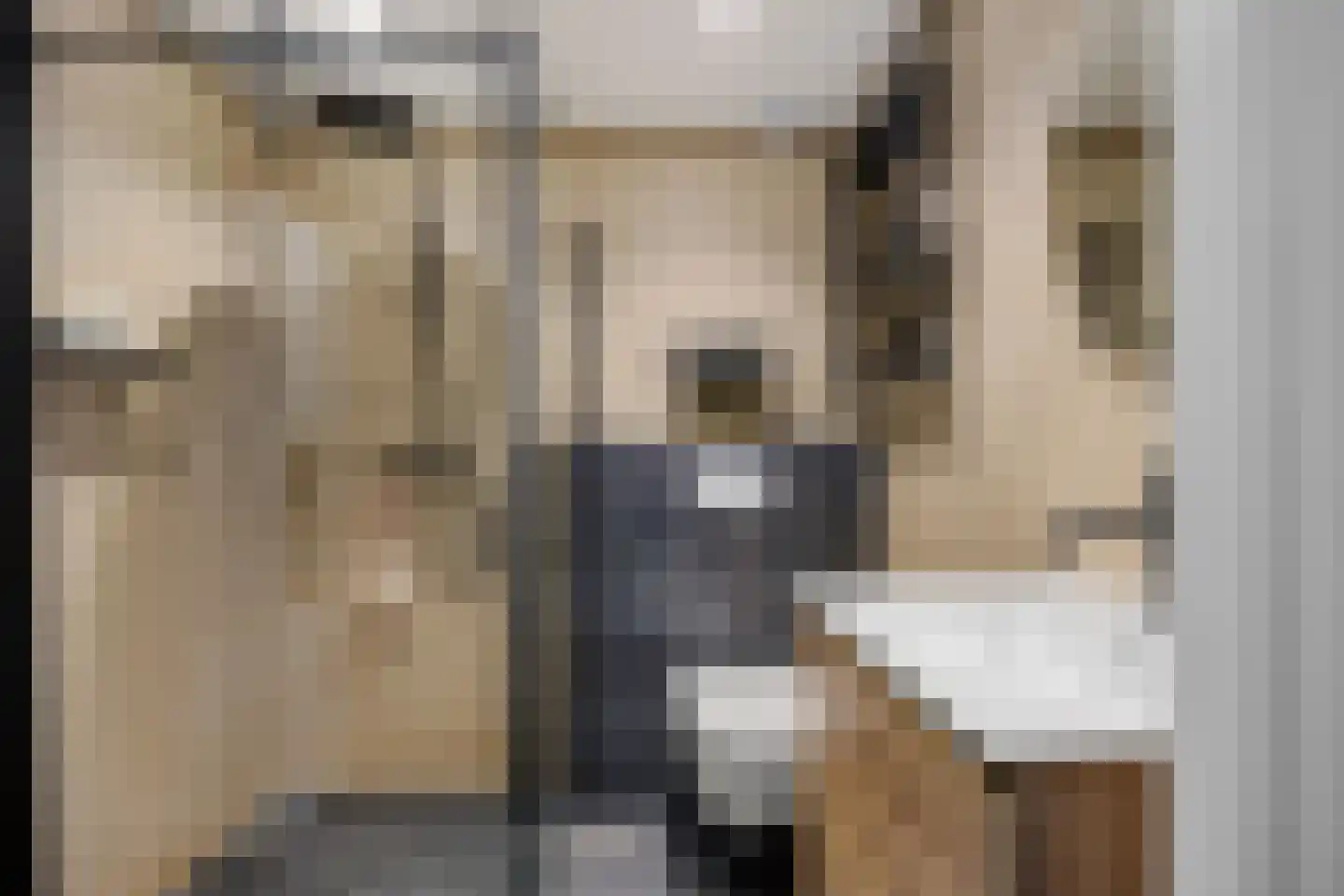 Wolvepad 47 Berghem thumbnail 5