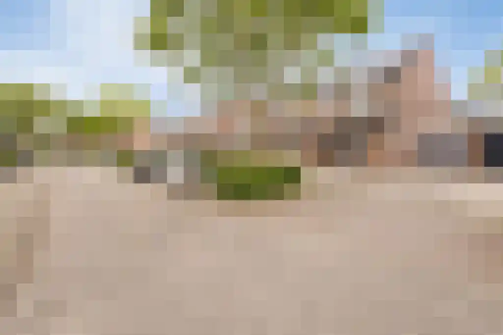 Wolvepad 47 Berghem thumbnail 6