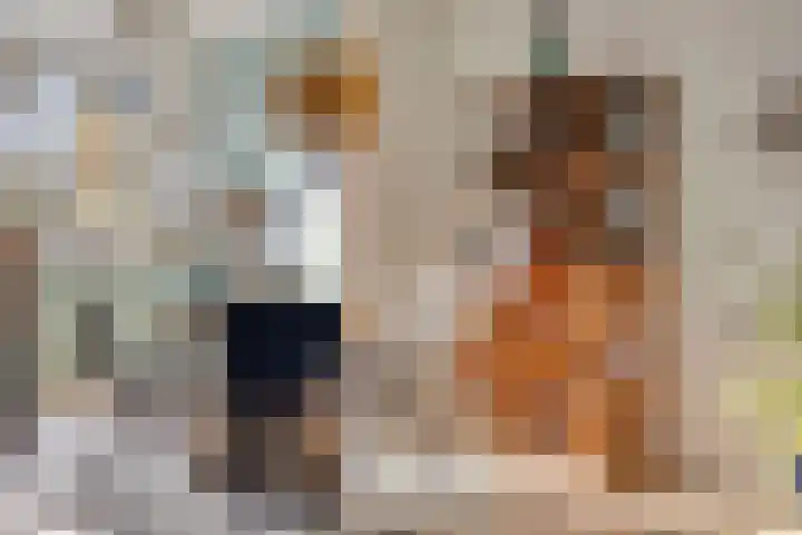 Wolvepad 59 Berghem thumbnail 11