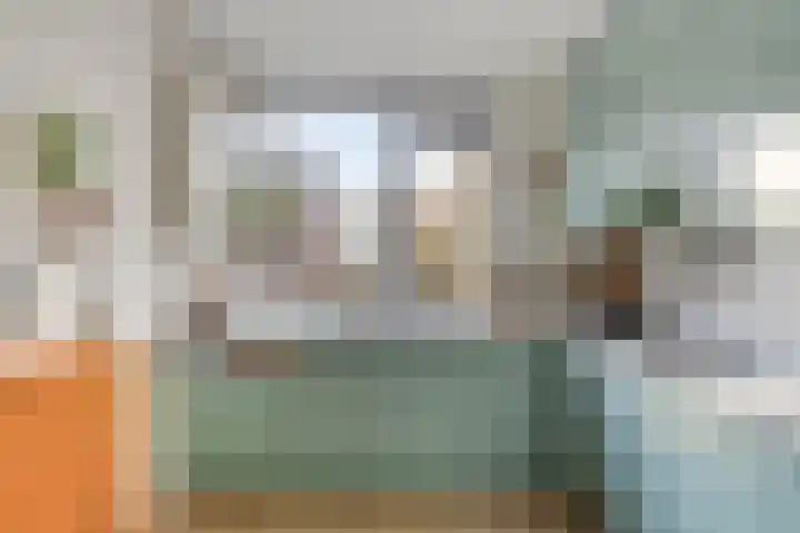 Wolvepad 59 Berghem thumbnail 14