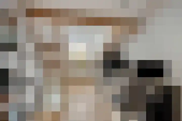 Wolvepad 59 Berghem thumbnail 17