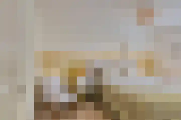 Wolvepad 59 Berghem thumbnail 21