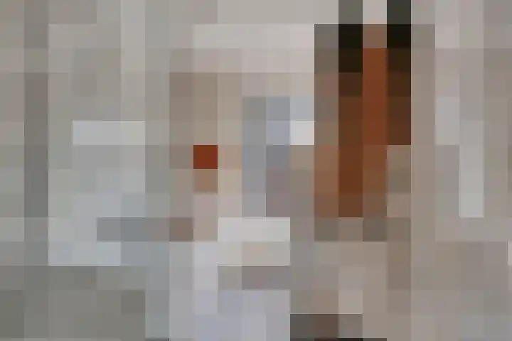 Wolvepad 59 Berghem thumbnail 23