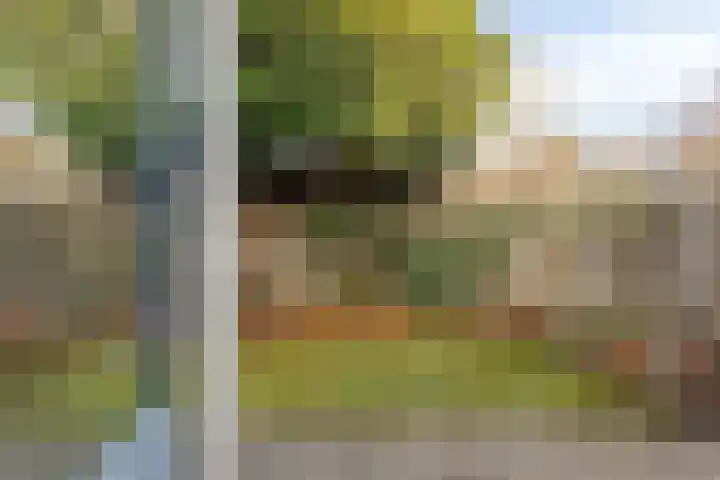 Wolvepad 59 Berghem thumbnail 32