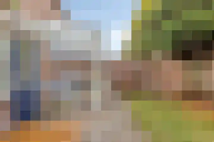 Wolvepad 59 Berghem thumbnail 33
