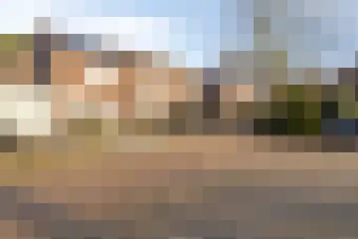 Wolvepad 59 Berghem thumbnail 36