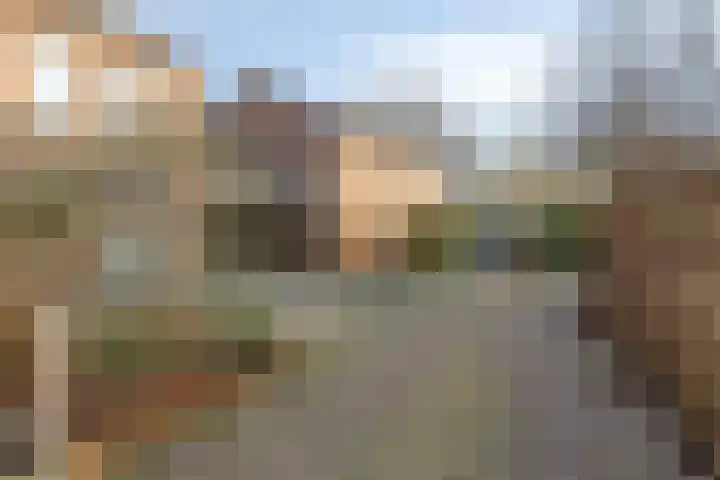 Wolvepad 59 Berghem thumbnail 37