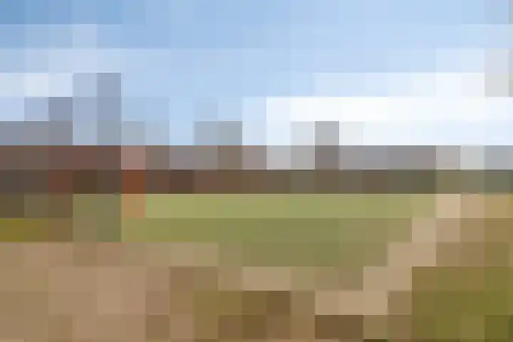 Wolvepad 59 Berghem thumbnail 38