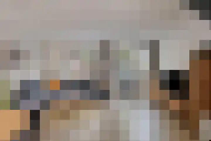 Wolvepad 59 Berghem thumbnail 7