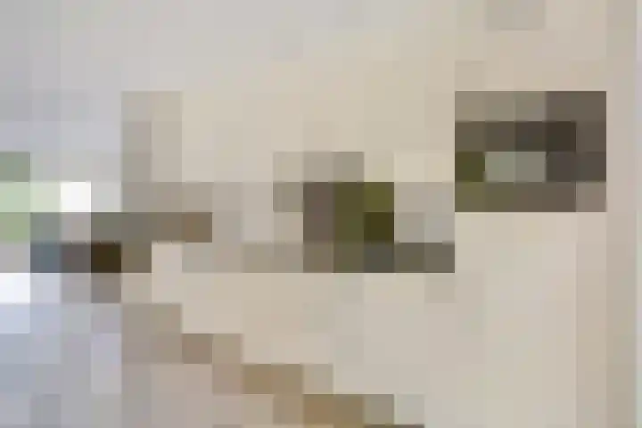 Wolverversgilde 7 Dronten thumbnail 12