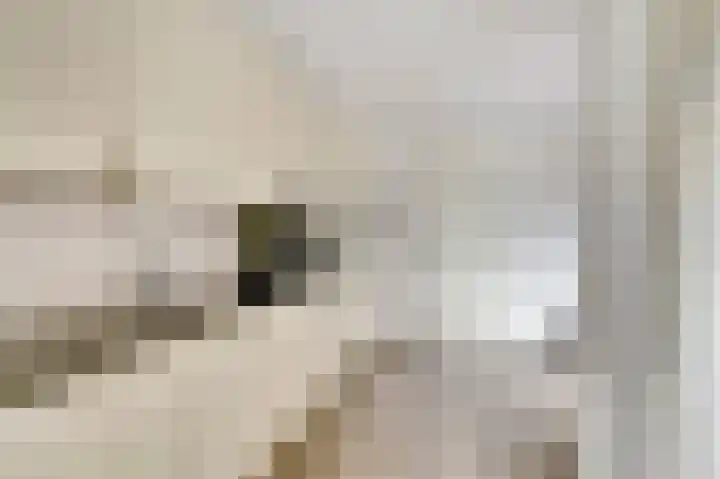 Wolverversgilde 7 Dronten thumbnail 13