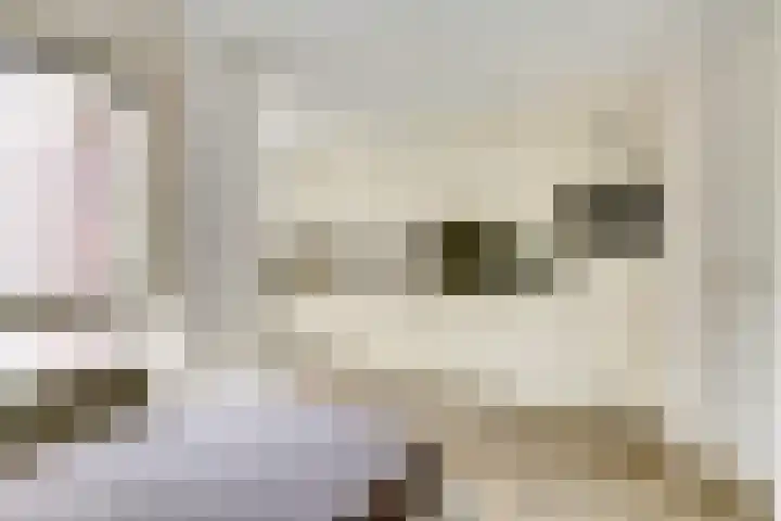 Wolverversgilde 7 Dronten thumbnail 14