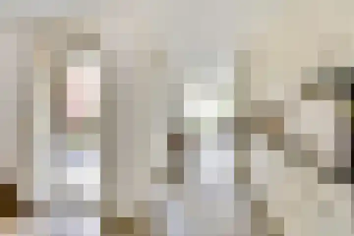 Wolverversgilde 7 Dronten thumbnail 16