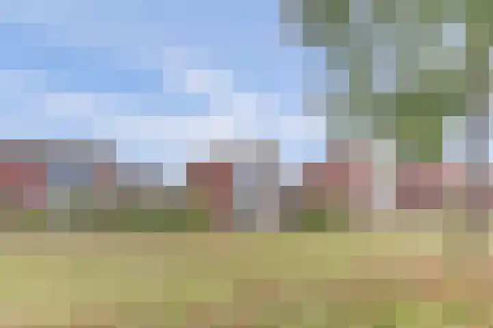 Wolverversgilde 7 Dronten foto 2