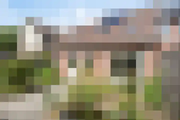 Wolverversgilde 7 Dronten thumbnail 24