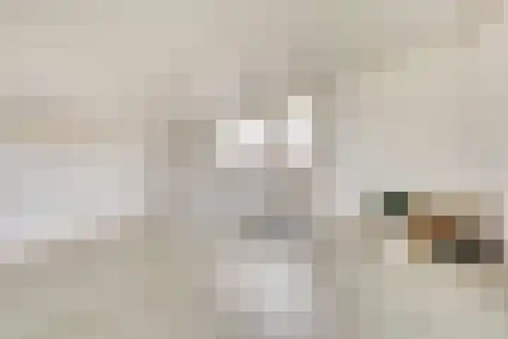 Wolverversgilde 7 Dronten thumbnail 26