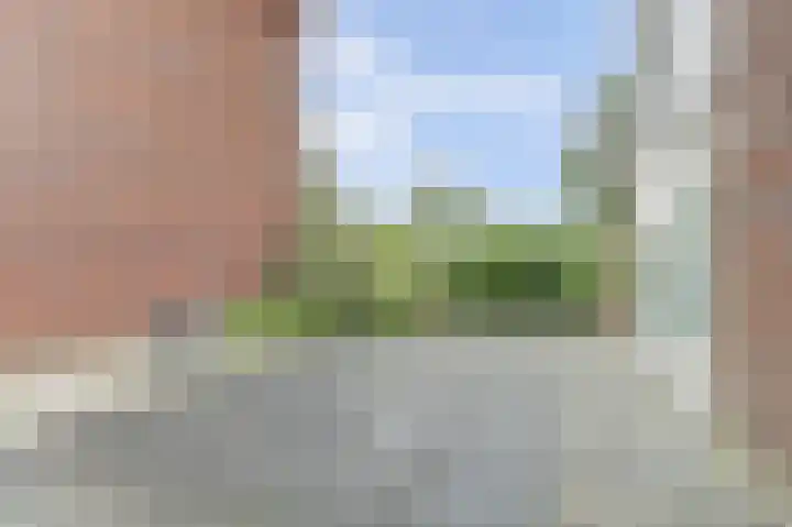 Wolverversgilde 7 Dronten thumbnail 33