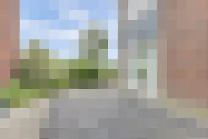 Wolverversgilde 7 Dronten thumbnail 34