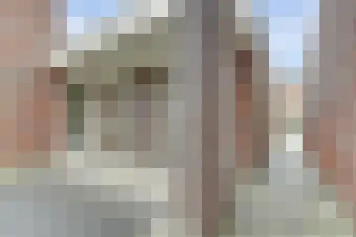 Wolverversgilde 7 Dronten thumbnail 36