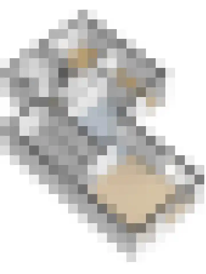 Wolverversgilde 7 Dronten thumbnail 44