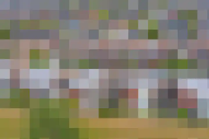 Wolverversgilde 7 Dronten thumbnail 5