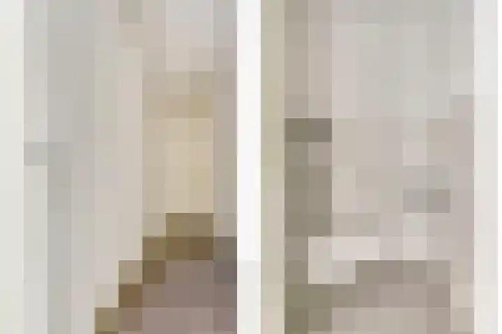 Wolverversgilde 7 Dronten thumbnail 7