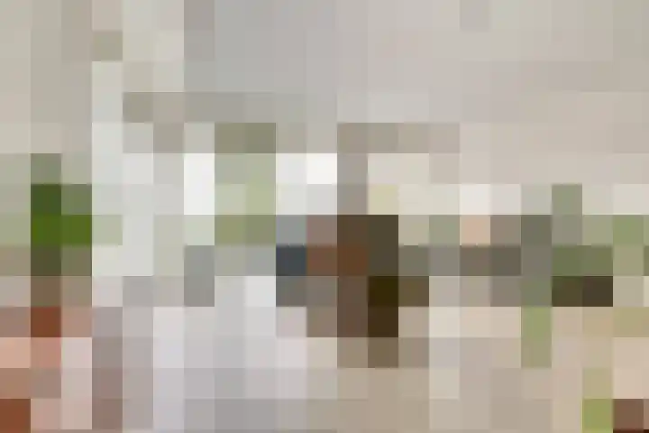 Wolverversgilde 7 Dronten thumbnail 9