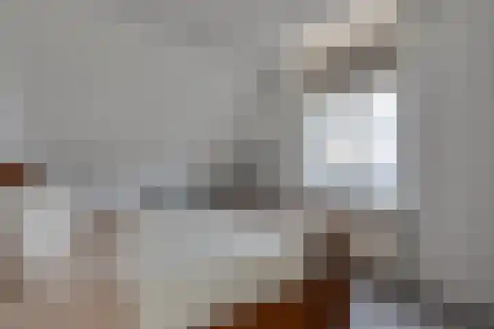 Wolververshoek 12 Borculo thumbnail 14