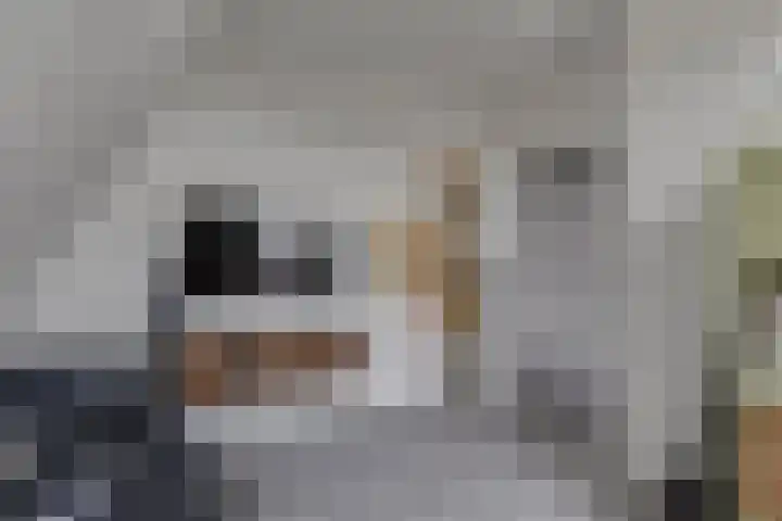 Wolververshoek 12 Borculo thumbnail 21