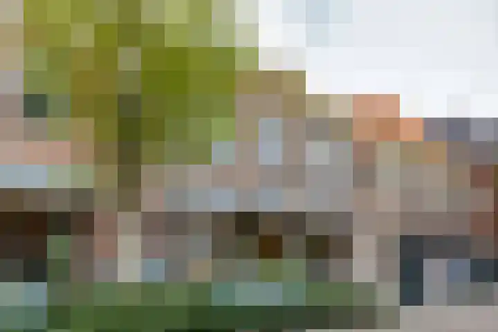 Wolververshoek 12 Borculo thumbnail 35