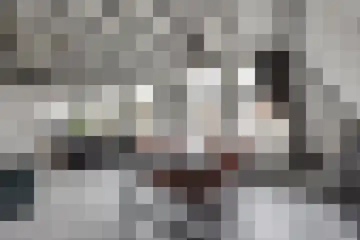 Wolververshoek 12 Borculo thumbnail 7