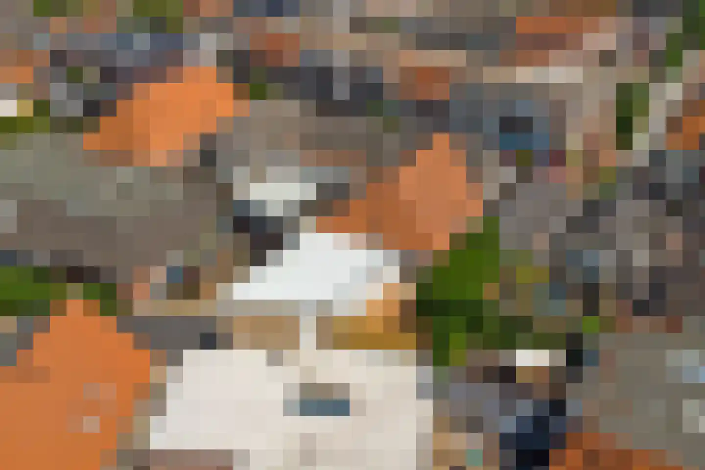Wolververshoek 6 Borculo thumbnail 23