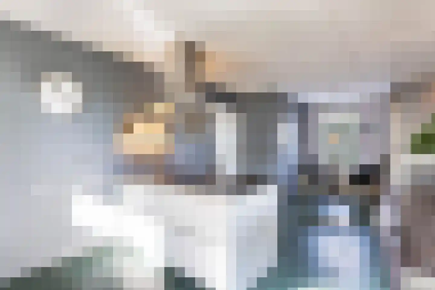 Wolveschansdreef 15 Leek thumbnail 22