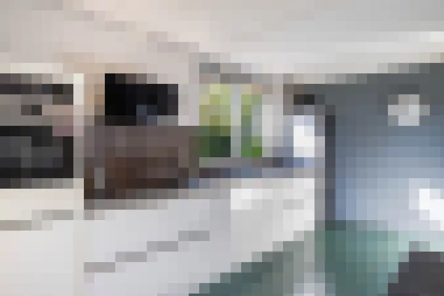 Wolveschansdreef 15 Leek thumbnail 25
