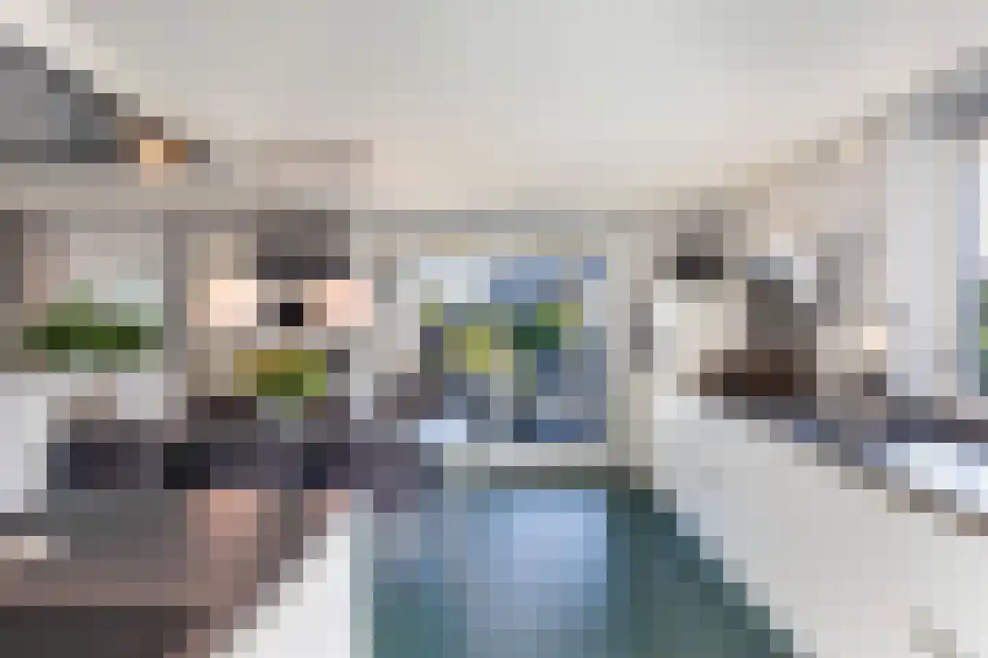 Wolveschansdreef 15 Leek thumbnail 26