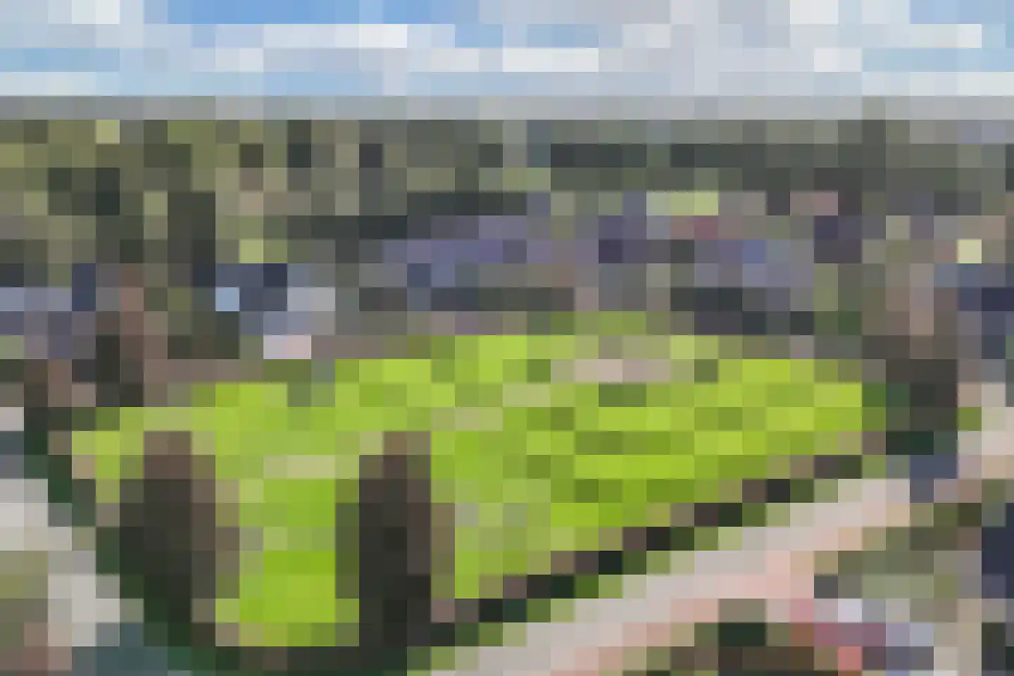 Wolveschansdreef 15 Leek thumbnail 51