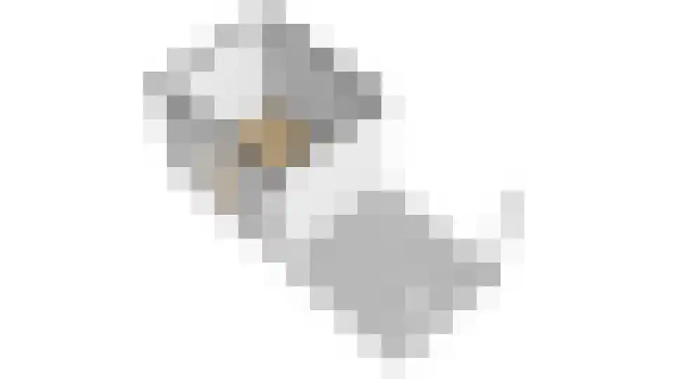 Wolveschansdreef 15 Leek thumbnail 62