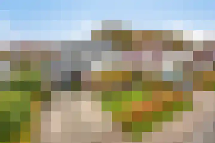 Wolveschansdreef 35 Leek