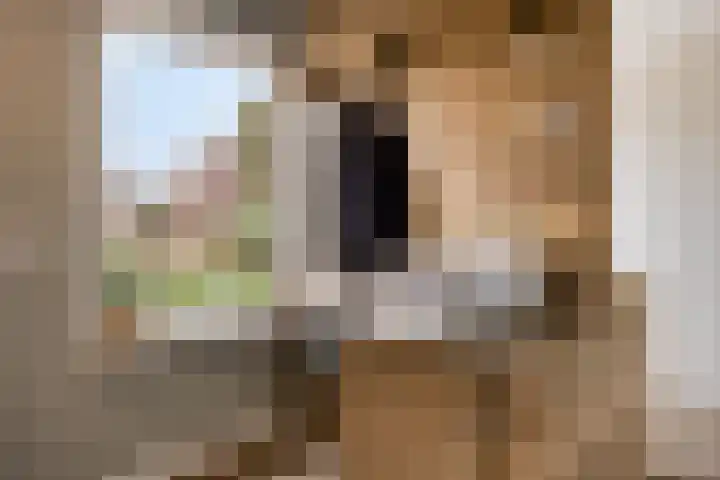 Wolveschansdreef 35 Leek thumbnail 23