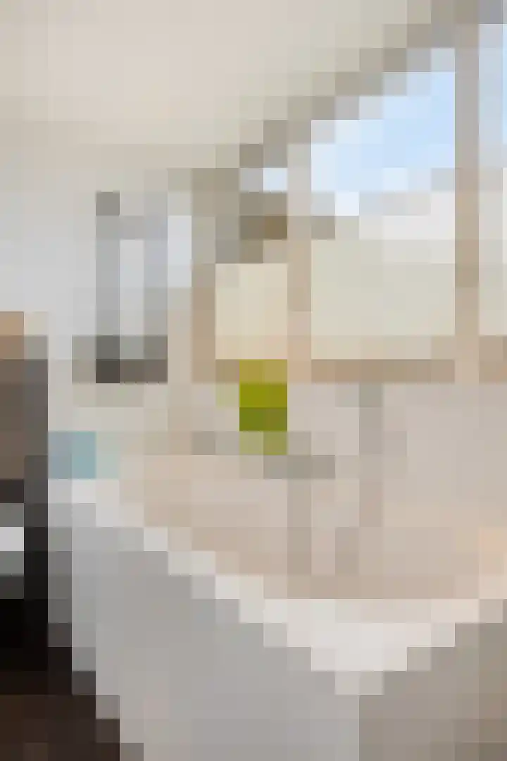 Wolveschansdreef 35 Leek thumbnail 35