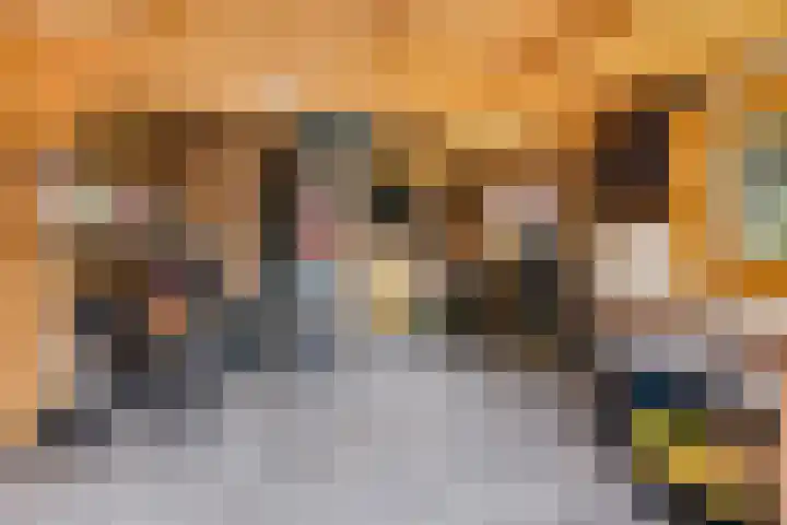 Wolveschansdreef 35 Leek thumbnail 53