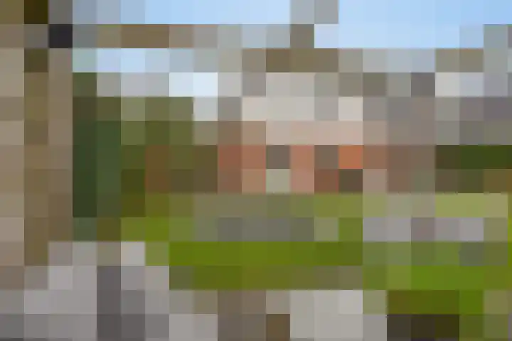 Wolveschansdreef 35 Leek thumbnail 55