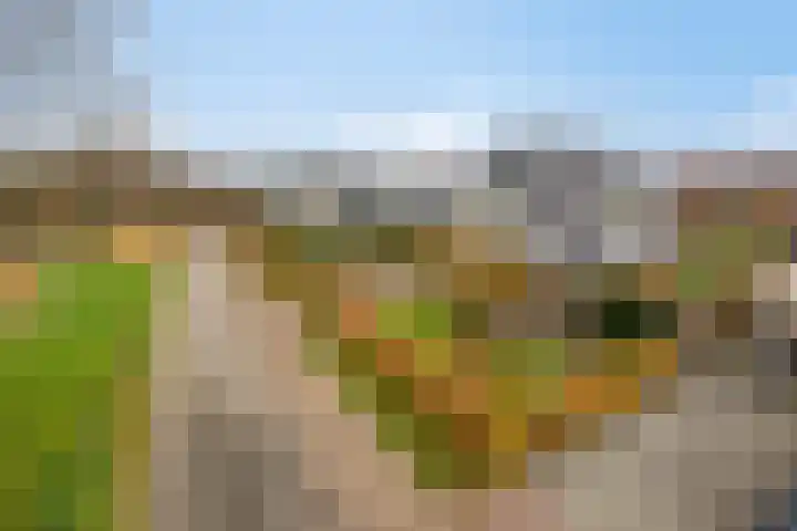 Wolveschansdreef 35 Leek thumbnail 58