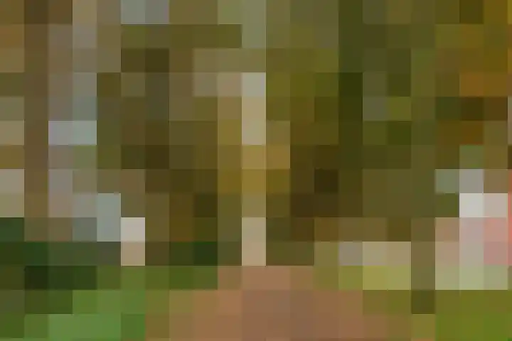 Wolveschansdreef 35 Leek thumbnail 59