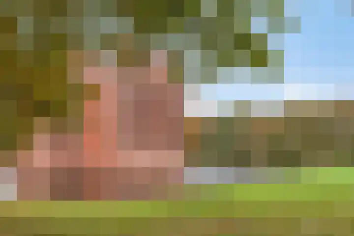 Wolveschansdreef 35 Leek thumbnail 60